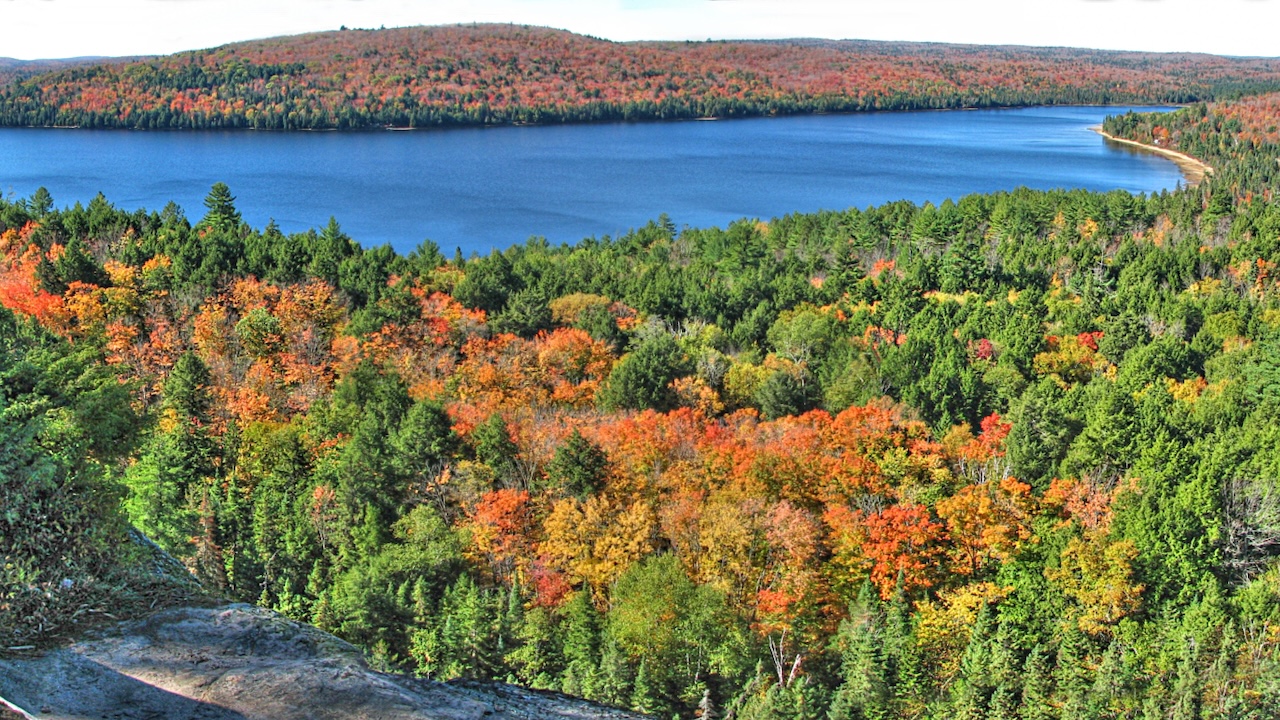 Algonquin Park)
