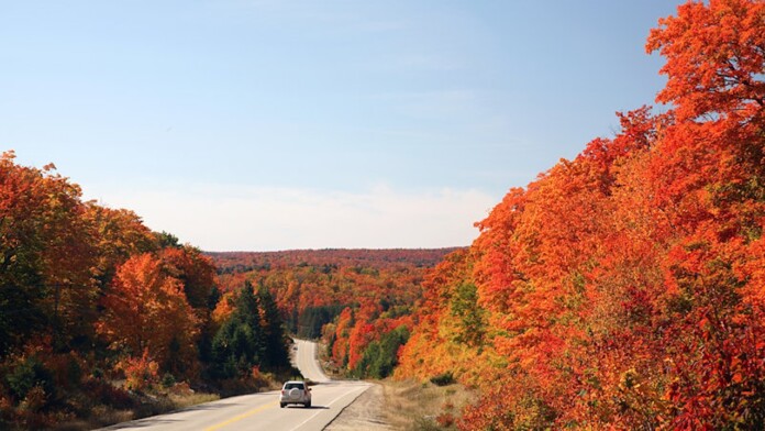 Algonquin view 01 Algonquin view 01