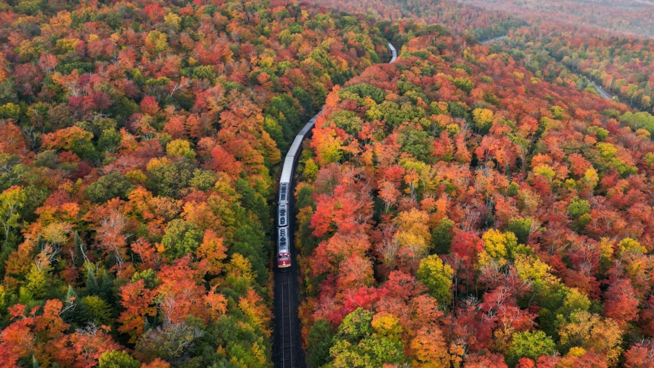 agawa canyon train