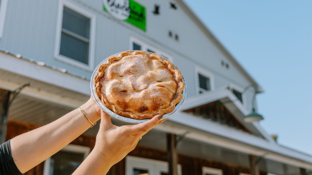 blackbird pie