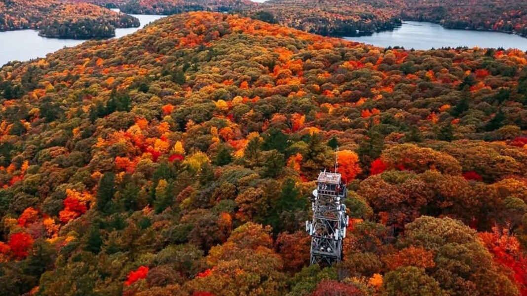 dorset lookout tower