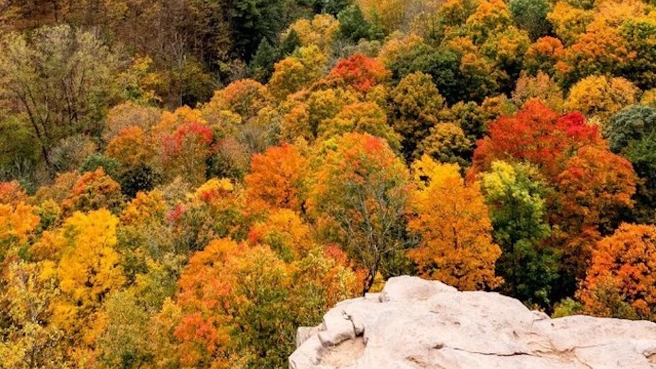 dundaspeak