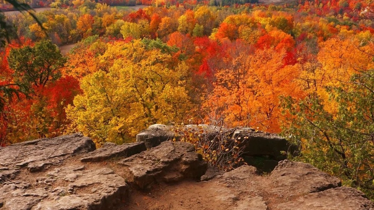 rattlesnake point
