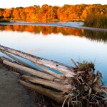 Rouge Park (photo: Ed Riley)