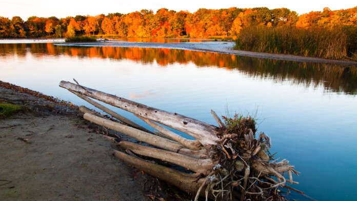 rougepark Rouge Park (photo: Ed Riley)