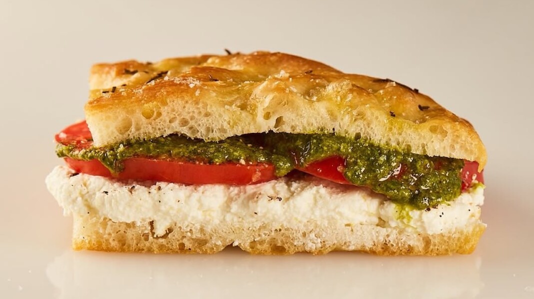 snapins ai 3679526689719019473