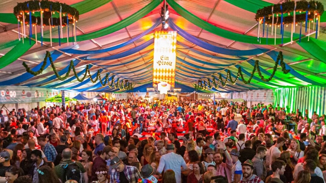 snapins ai 3707245970545972675