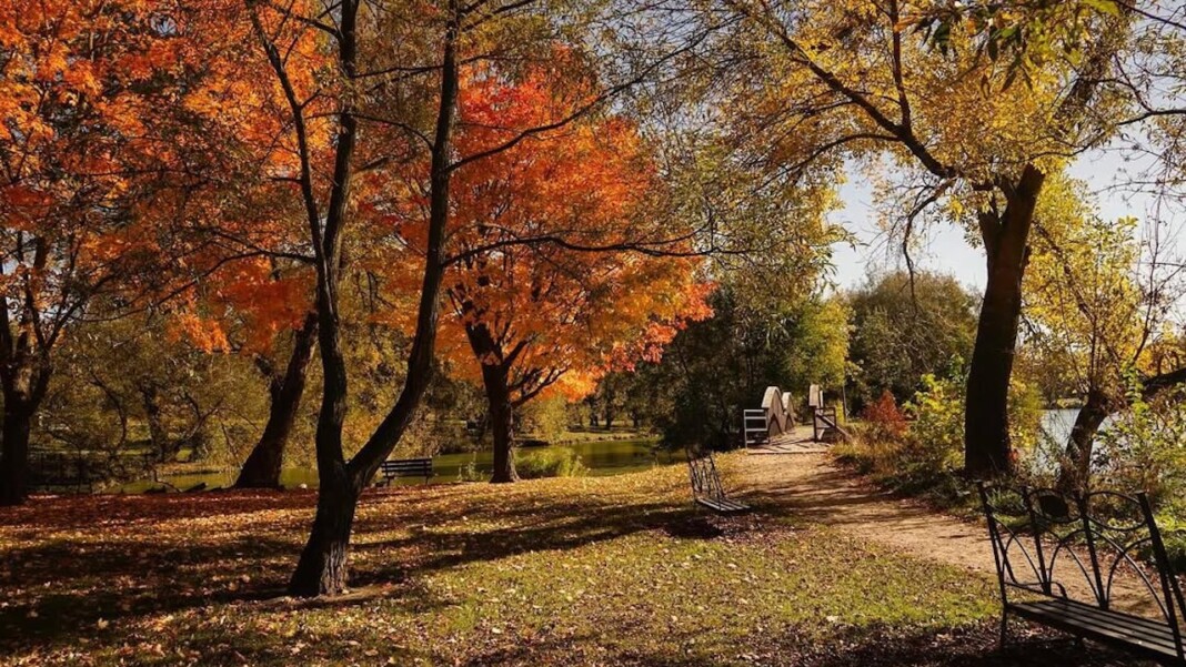stratford fall