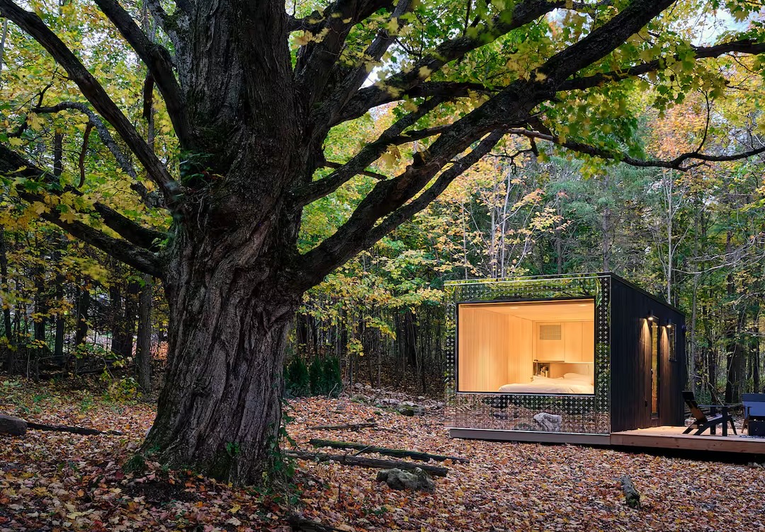 a9ceb545 94d7 42a5 8c50 f0607fc201c7 png copy