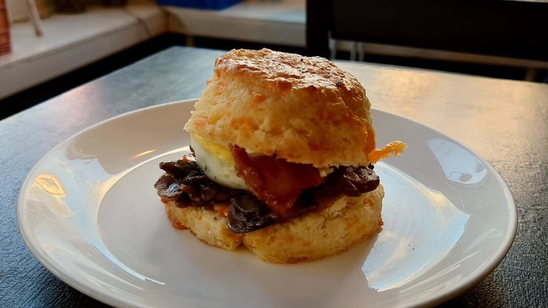 snapins ai 3242429476586673057