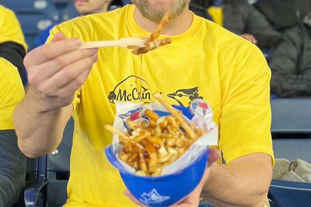 snapins ai 3345449253727177382