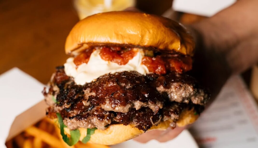 snapins ai 3506269329987871799