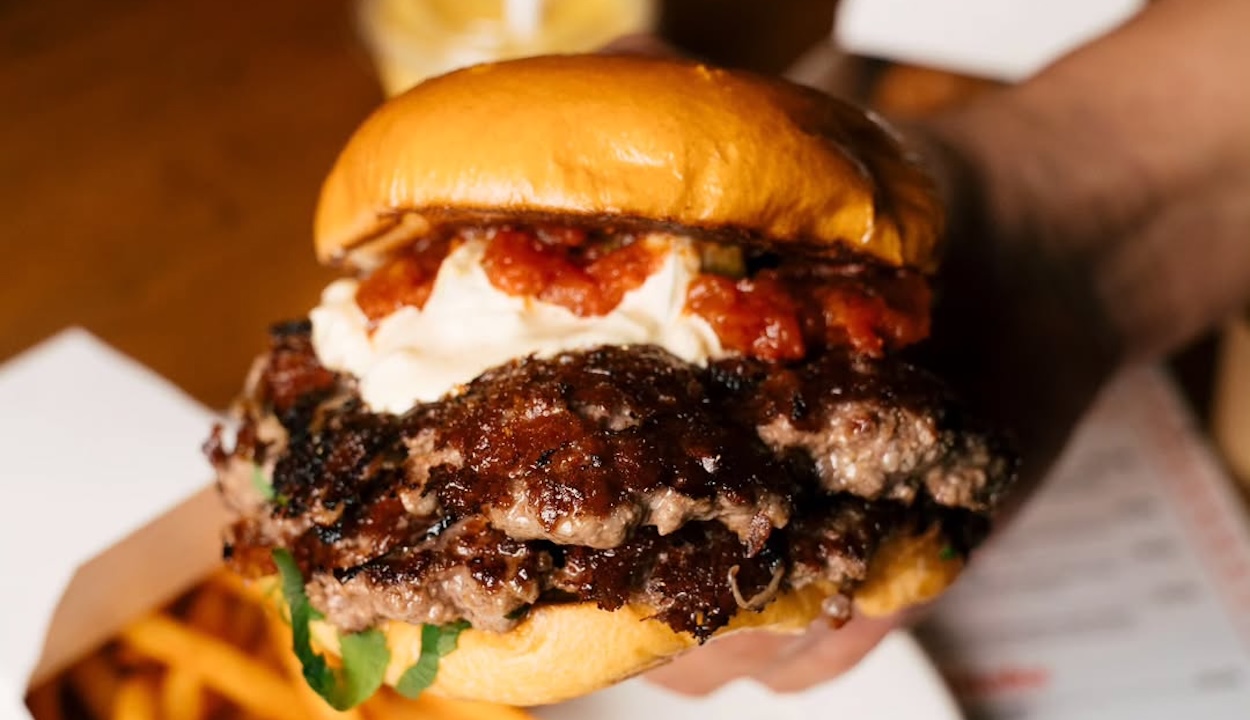 snapins ai 3506269329987871799