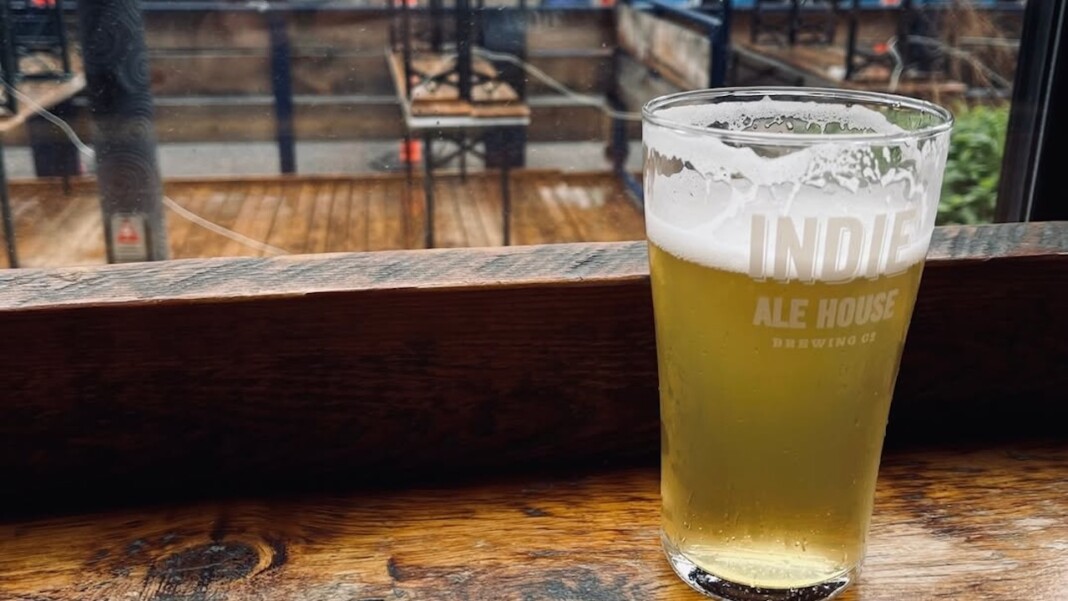 snapins ai 3623029946836659334