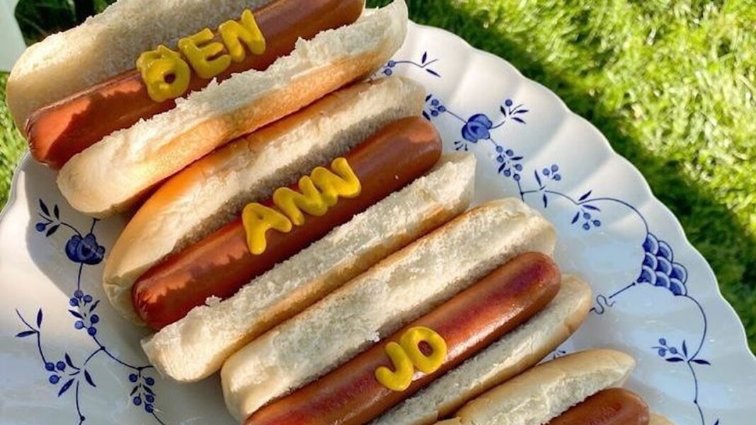 snapins ai 3690358947553942250