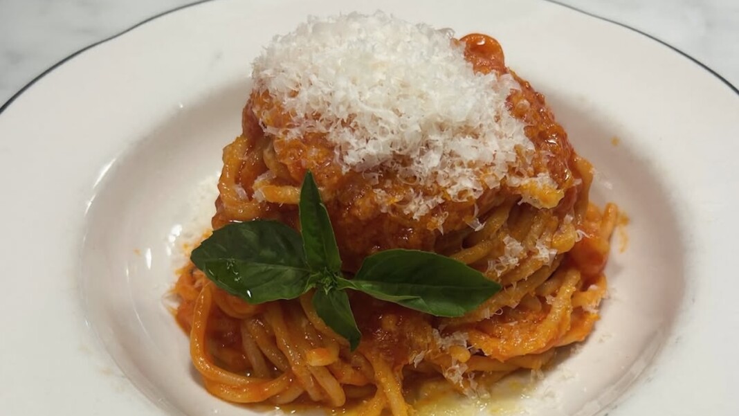 snapins ai 3715687884570599142