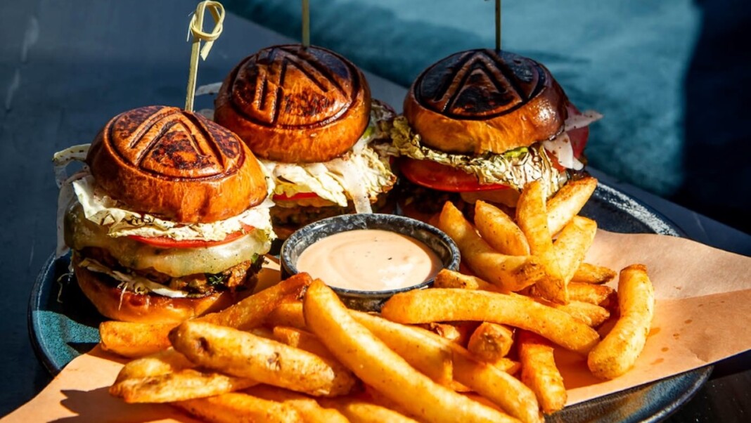 snapins ai 3745518450170104164