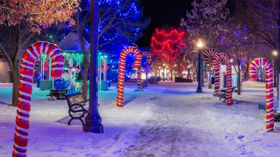 SnapInsta Ai 3529779821329716449