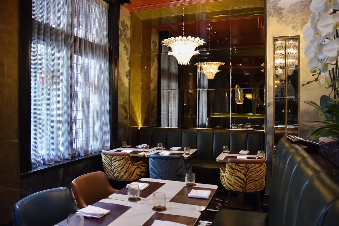 SnapInsta Ai 3768062503273366789