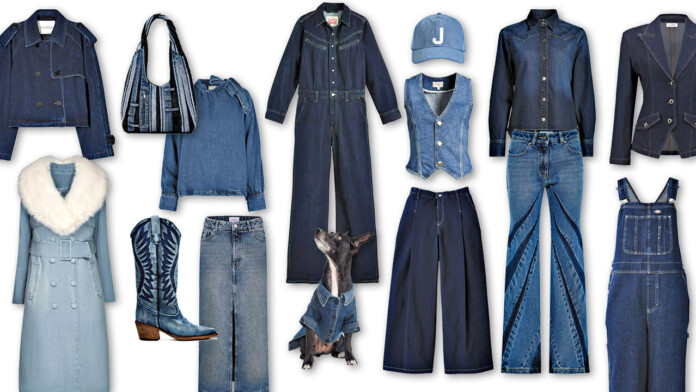 fashion nov jean feature pic fashion nov jean feature pic