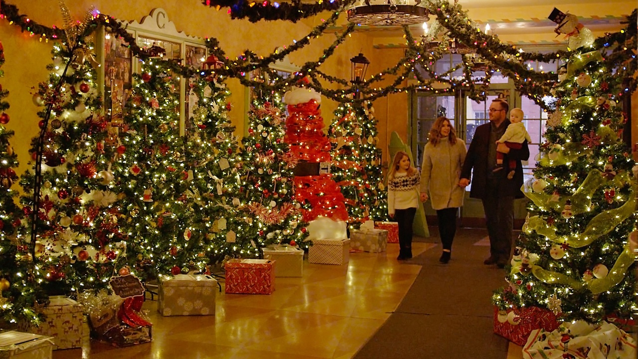 porthope christmas trees