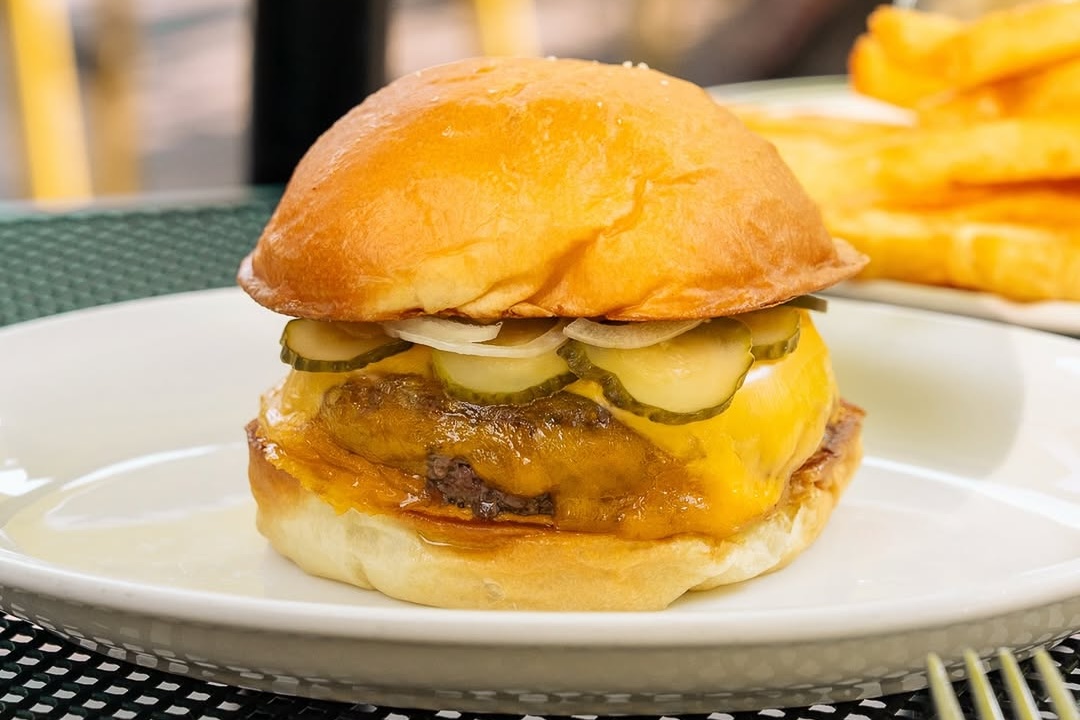 snapins ai 3735482372835060123