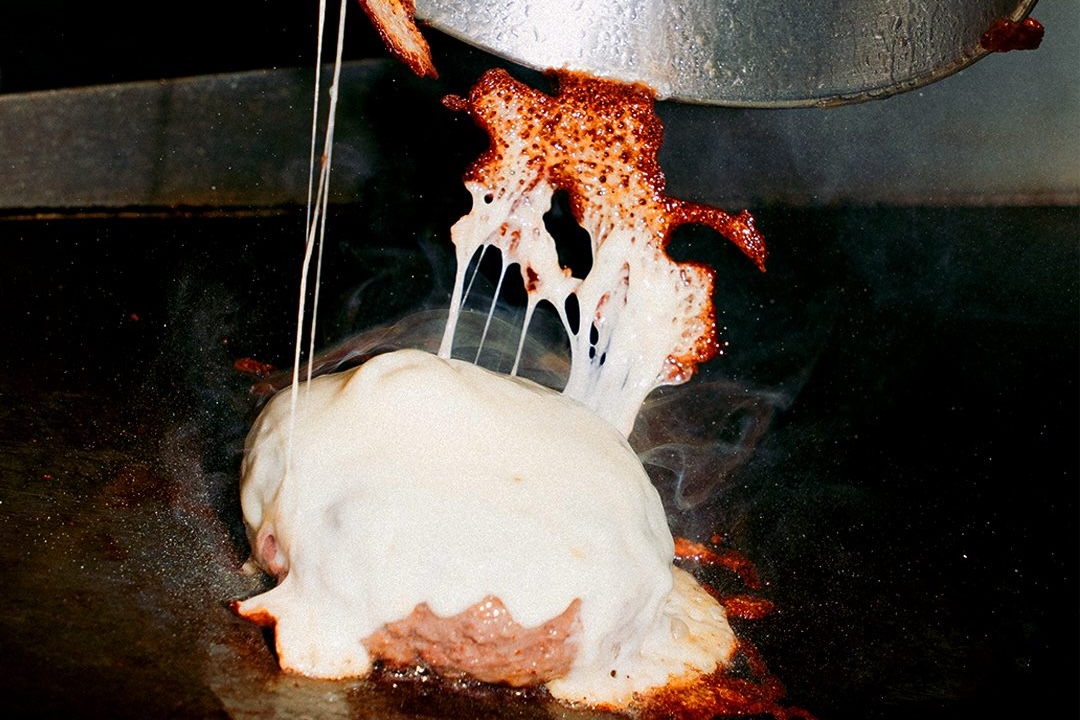 snapins ai 3748325417196249536