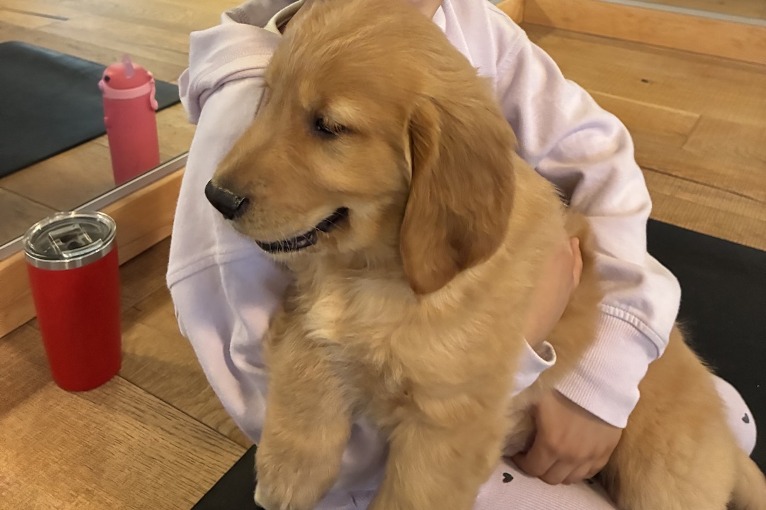 Image 20251204 111223 058