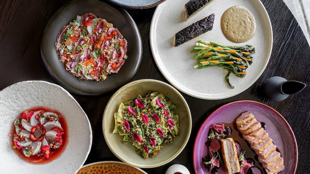 SnapInsta Ai 3651529889581665437