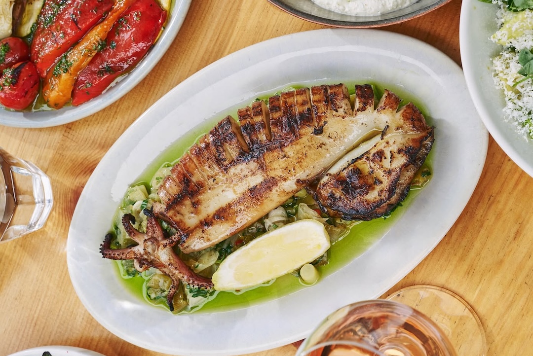 SnapInsta Ai 3662351128571198819