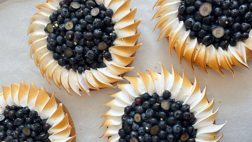 SnapInsta Ai Cg4mVxaufKX