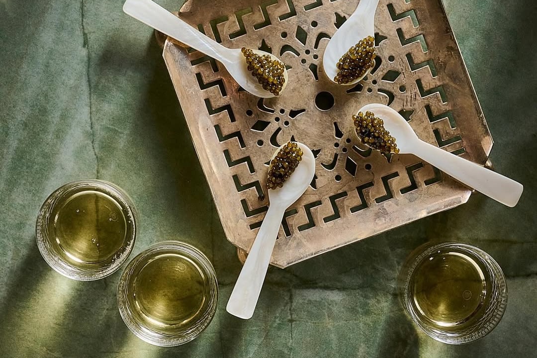 SnapInsta Ai DC98Sx0SQ89