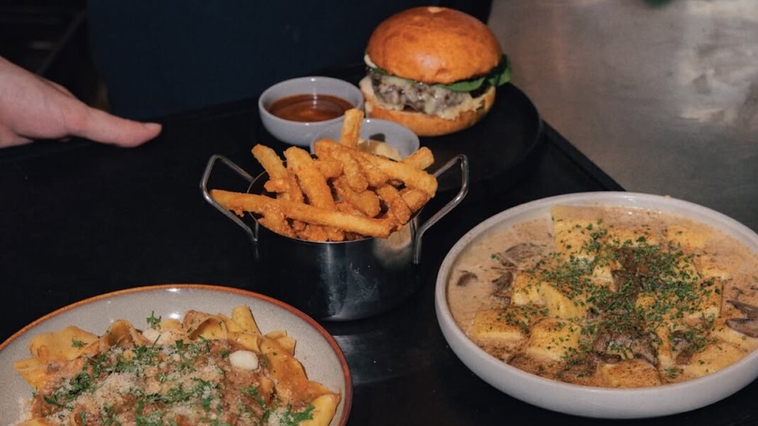 SnapInsta Ai DNTRcjfR 9t