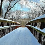 The top 10 Toronto winter walks for scenic views crotherswoods