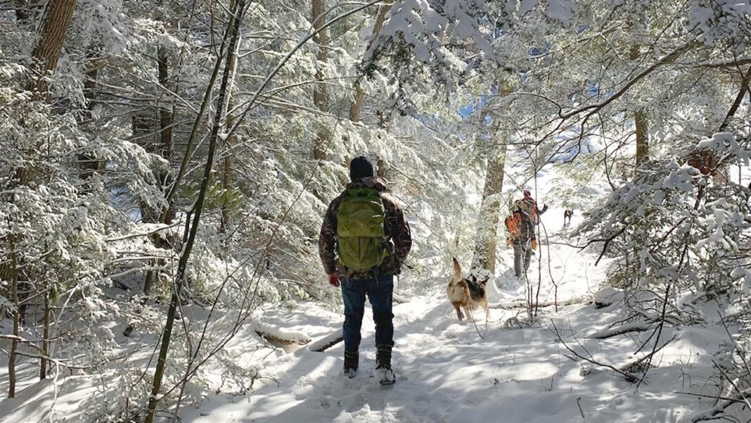 Kawarthas in the winter