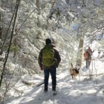 Kawarthas in the winter