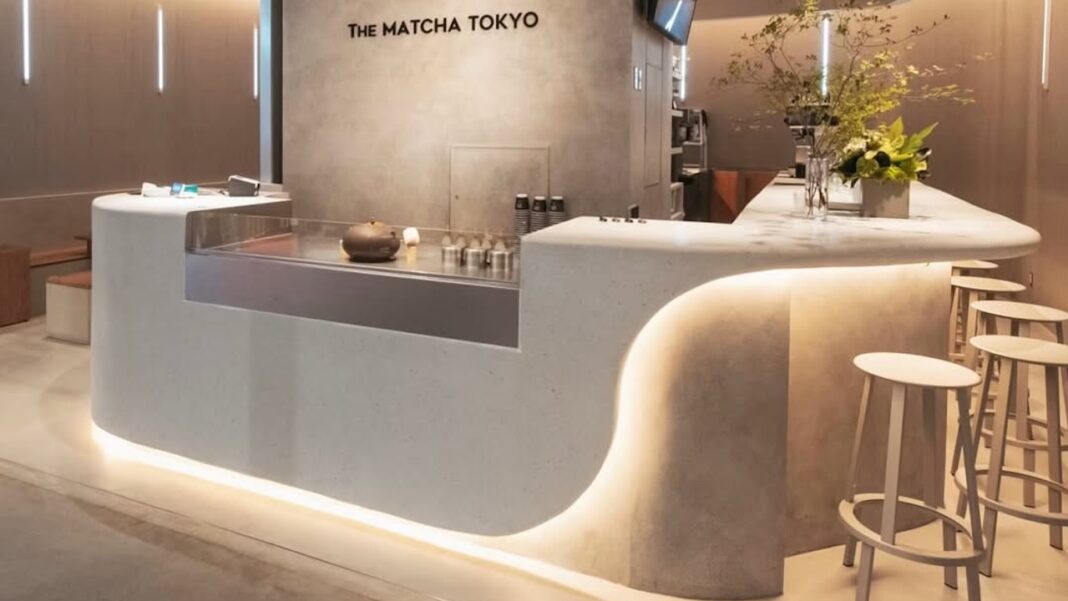 SnapInsta Ai 2666148581959131419