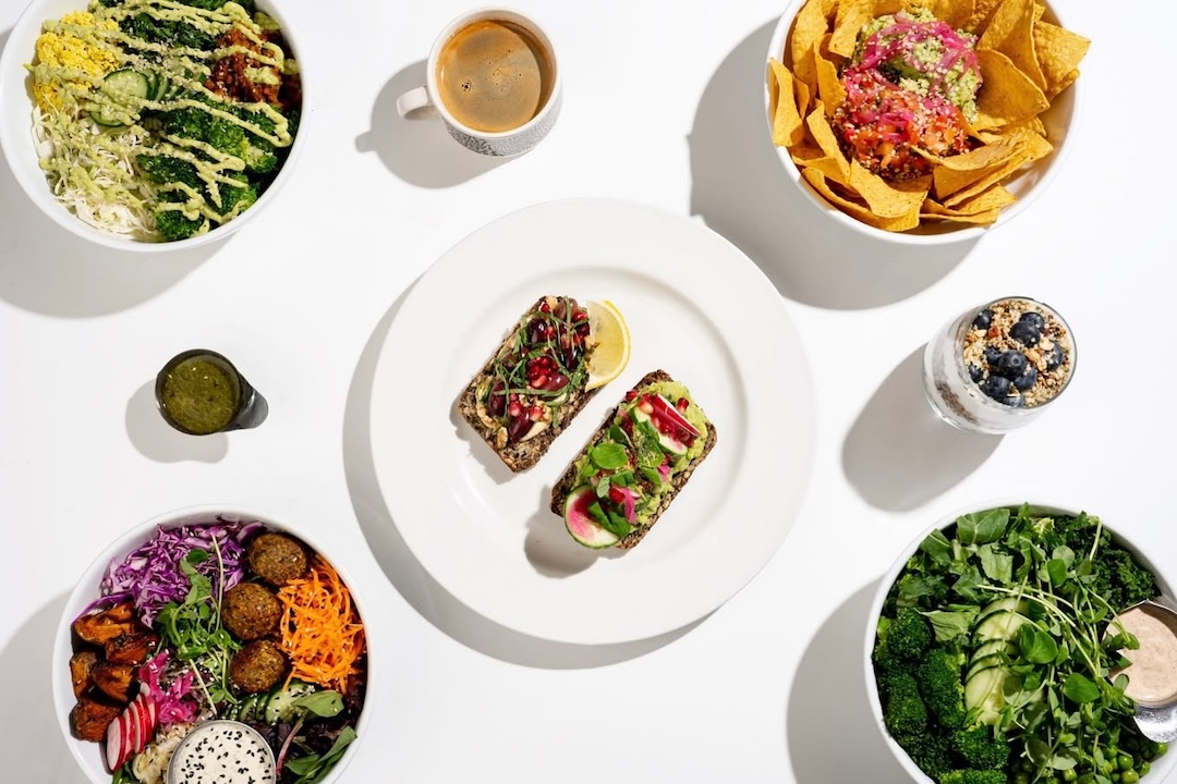 SnapInsta Ai 3510105162838182159