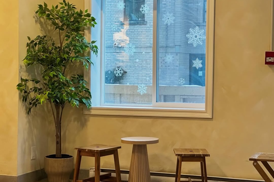 SnapInsta Ai 3829071095559805497