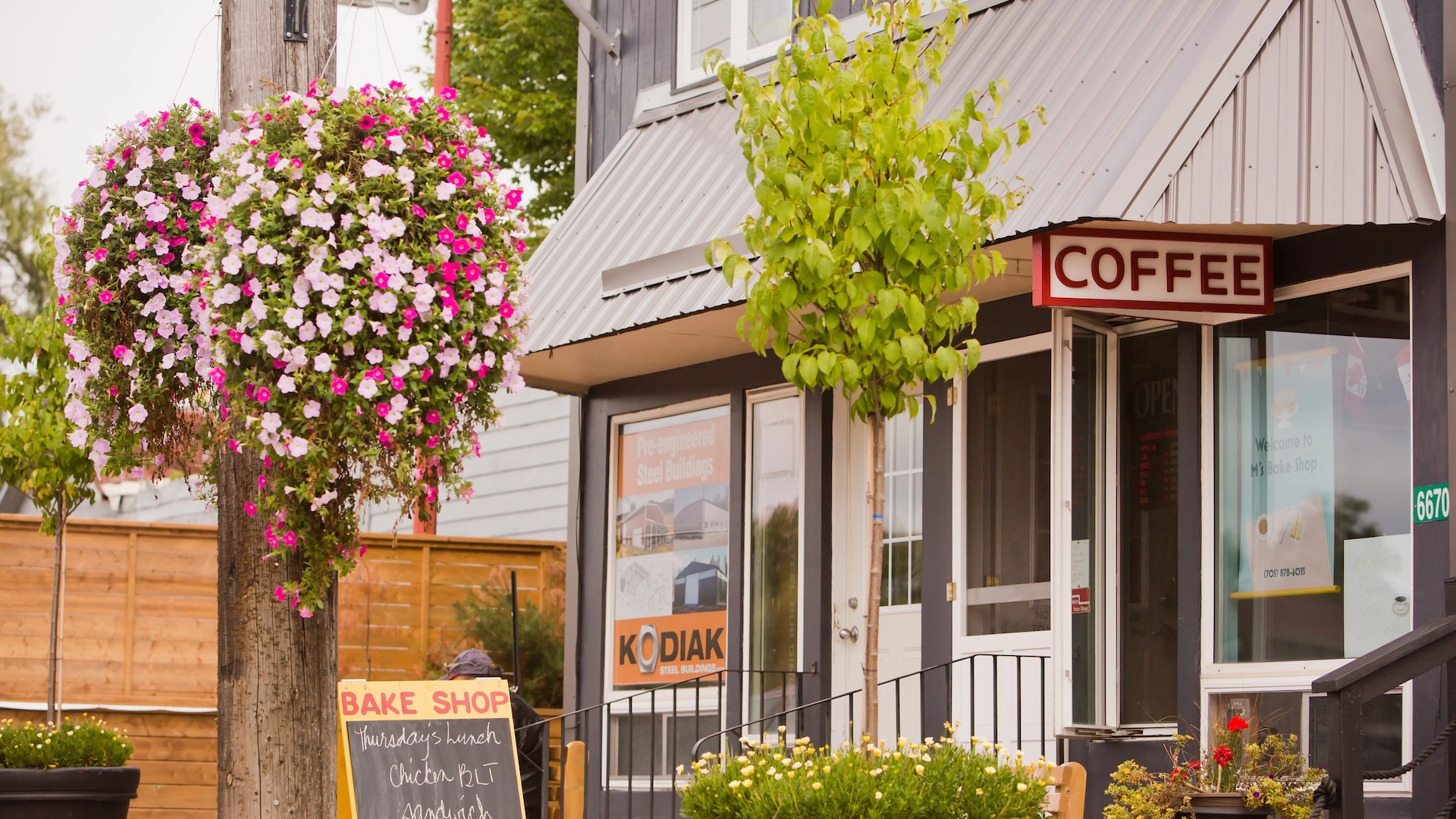 fenelon falls mainstreet