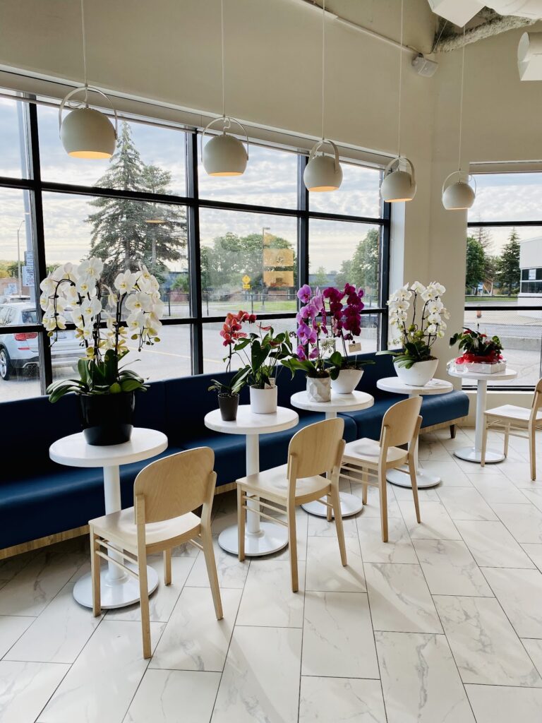 restaurant 186307 1775049175