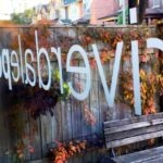 restaurant 186402 1775049414