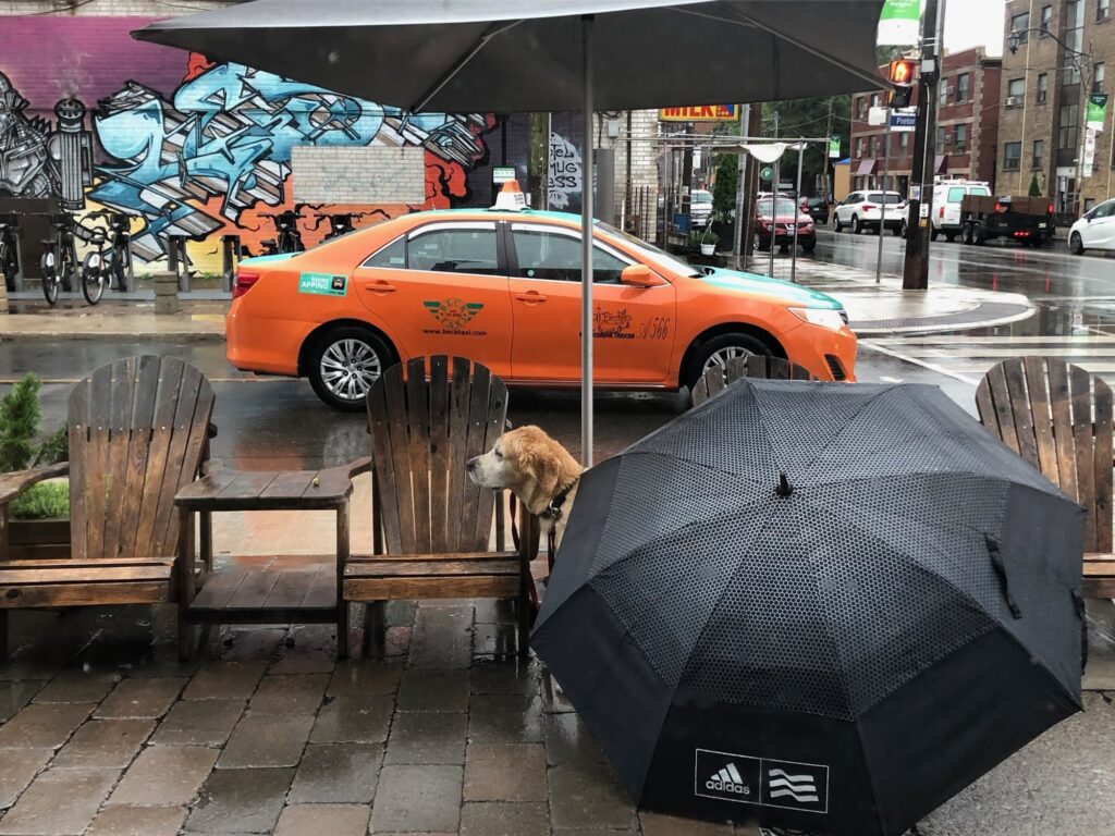 restaurant 187278 1775057739