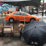 restaurant 187278 1775057739