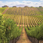 restaurant 187339 1775057905