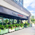 restaurant 187607 1775058625