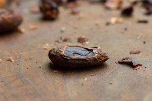 restaurant 188521 1775061158