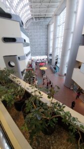 restaurant 188945 1775062124