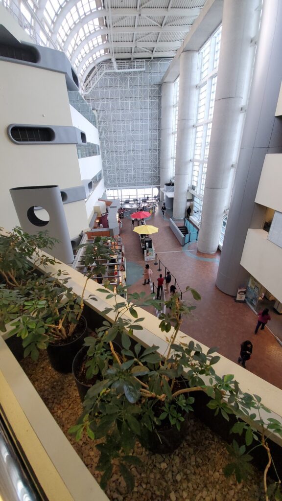 restaurant 188945 1775062124