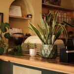 restaurant 190313 1775065498